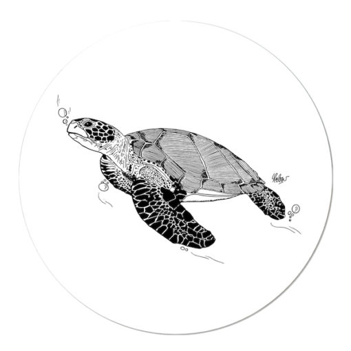 Muurcirkel schildpad
