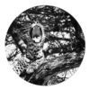 Muurcirkel zwart wit luipaard
