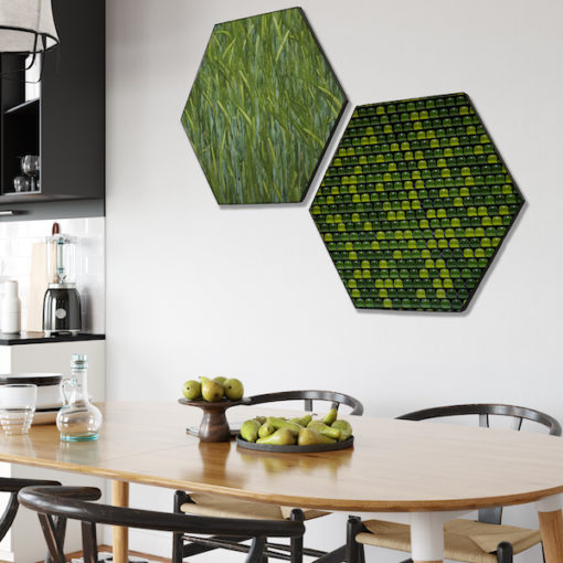 Hexagon natuur groen