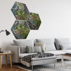 Hexagon Mos natuur