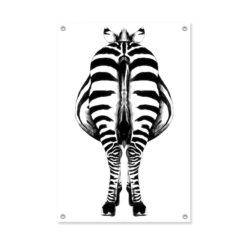 Tuinposter Zebra