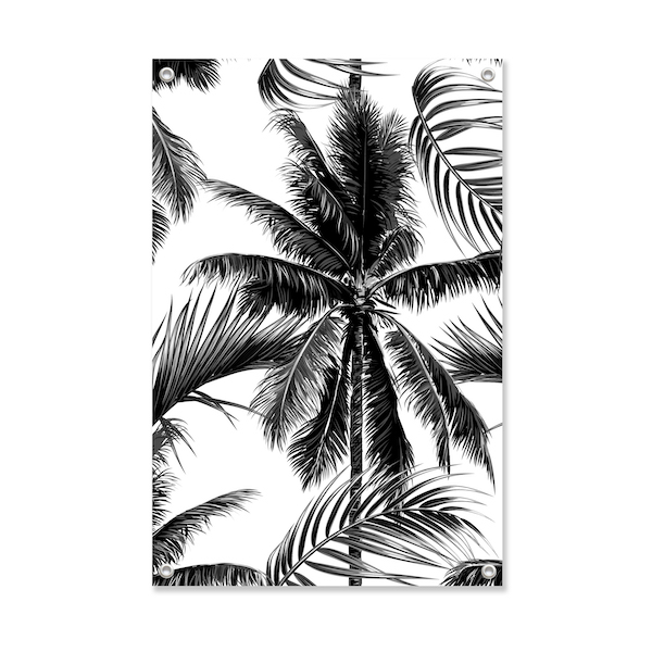 Tuinposter Palm Black and White