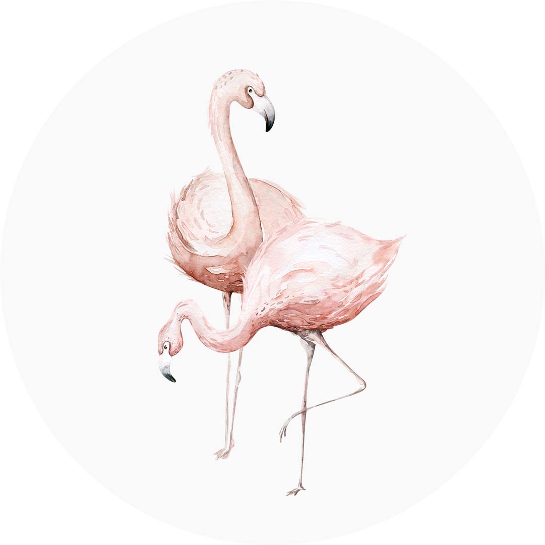 blijven samenzwering mooi Muurcirkel Afrikaanse Dieren Flamingo 2 - Your Favourite STUFF