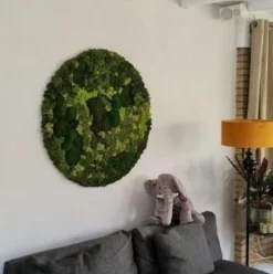 muurcirkel mos wanddecoratie