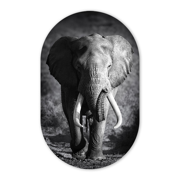 muurovaal olifant zwart wit
