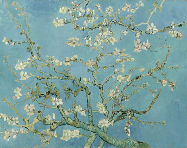 Amandelbloesem Vincent van Gogh