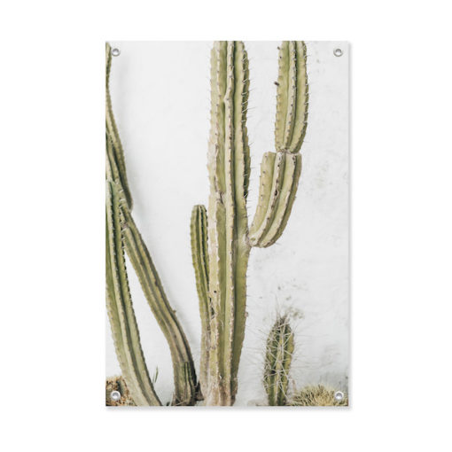 tuinposter cactus
