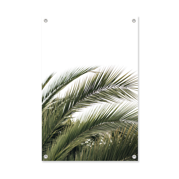 tuinposter palmblad goren