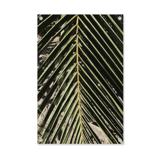 Tuinposter palmblad close up