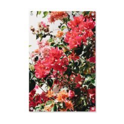 tuinposter zomerbloemen rood roze