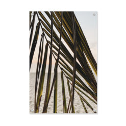 tuinposter palmblad op het strand