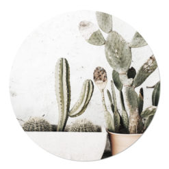tuincirkel cactus ibiza