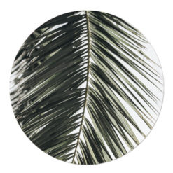 tuincirkel ibiza palmblad