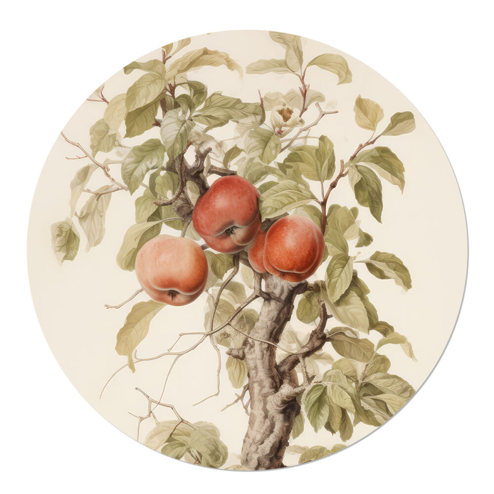 Muurcirkel Vintage Appelboom